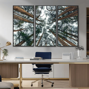 18790-MGV-CV-36X24-Pine Canopy Wall Art – Panoramic View of Towering Pines Canvas Print, Nature-Inspired Decor for Office, Cabin or Living Room