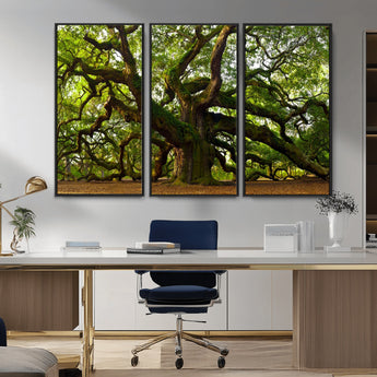 29407-MGV-CV-36X24-Ancient Oak Tree Wall Art – Majestic Nature Canvas Print, Large Tree Photography Decor for Living Room or Office