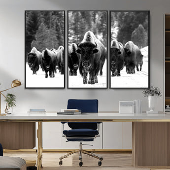 62434-MGV-CV-36X24-Bison Herd Wall Art – Majestic Black and White Buffalo Canvas Print, Wildlife Nature Photography Decor for Living Room, Office or