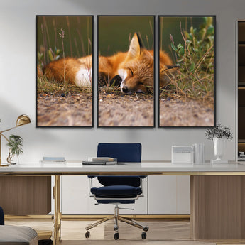 25085-MGV-CV-36X24-Sleeping Fox Wall Art Canvas Print, Framed Rustic Fox Art Picture Print, Wildlife Animal Perfect Rustic Farmhouse Decor Artwork
