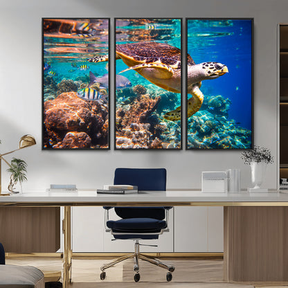 66614-MGV-CV-36X24-Sea Turtle Wall Art – Hawksbill Turtle Swimming Over Coral Reef Canvas Print, Ocean Marine Life Decor for Beach House, Coastal