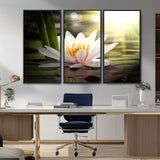 40478-MGV-CV-36X24-Water Lily Wall Art – White Lotus Flower Canvas Print with Sunlight Reflection, Serene Botanical Artwork for Living Room, Bedroom,