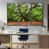 51255351-MGV-CV-36X24-Ancient Tree Wall Art – Majestic Oak Canvas Print, Large Nature Photography, Sacred Forest Landscape Wall Décor, Wisdom Tree