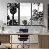 89458520-MGV-CV-36X24-Palm Trees Wall Art Canvas Print, Framed Coastal View Art Picture Print, Ocean Horizon Perfect Monochrome Coast Decor Artwork