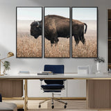 34451925-MGV-FC-48X32-3P_Black-Rustic Bison Decor Wall Art Canvas Print, Framed Buffalo Home Accent Art Picture Print, Prairie Wildlife Scene Perfect Western