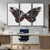 99831147-MGV-CV-36X24-Spotted Butterfly Wall Art Canvas Print, Framed Neutral Insect Theme Art Picture Print, Earthy Wing Pattern Perfect Modern Rustic
