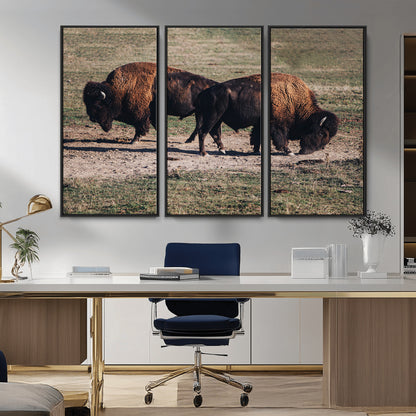 58141885-MGV-CV-36X24-Bison Photography Wall Art Canvas Print, Framed Western Wildlife Art Picture Print, Modern Ranch Perfect Western Rustic Decor