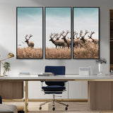 81594705-MGV-CV-36X24-Elk Herd Wall Art Canvas Print, Framed Wildlife Photography Art Picture Print, Rustic Nature Print Perfect Rustic Wildlife Decor