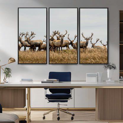 42170220-MGV-CV-36X24-Elk Herd Wall Art Canvas Print, Framed Wildlife Photography Art Picture Print, Majestic Antlers Perfect Rustic Wildlife Decor