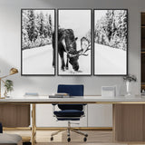 38956835-MGV-CV-36X24-Moose Winter Snowy Forest Canvas Wall Art – Wildlife Nature, Antlers in Frozen Landscape, Quiet Path, Cold Season Outdoors Print