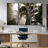 87969493-MGV-FC-48X32-3P_Black-Forest Wall Art – Misty Tall Trees Canvas Print, Dramatic Woodland Photography Decor for Bedroom, Living Room, Office, Cabin,