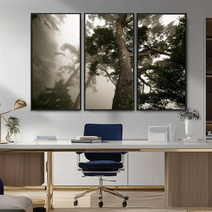 87969493-MGV-FC-48X32-3P_Black-Forest Wall Art – Misty Tall Trees Canvas Print, Dramatic Woodland Photography Decor for Bedroom, Living Room, Office, Cabin,