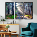 42047-MGV-CV-36X24-Sunlit Forest Path Wall Art – Nature Canvas Print, Serene Woodland Landscape, Perfect Home & Office Decor for Calm and Tranquil