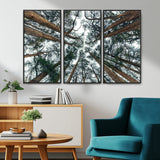 18790-MGV-CV-36X24-Pine Canopy Wall Art – Panoramic View of Towering Pines Canvas Print, Nature-Inspired Decor for Office, Cabin or Living Room