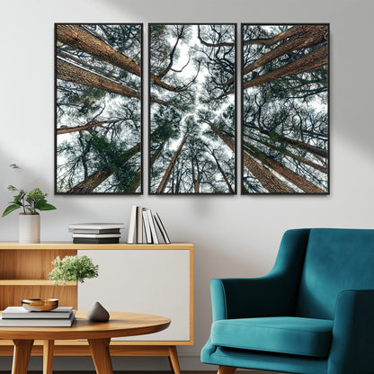 18790-MGV-CV-36X24-Pine Canopy Wall Art – Panoramic View of Towering Pines Canvas Print, Nature-Inspired Decor for Office, Cabin or Living Room