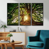 52150-MGV-CV-36X24-Majestic Tree Wall Art – Large Nature Canvas Print with Sunlight Through Branches, Rustic Forest Decor for Living Room, Bedroom or