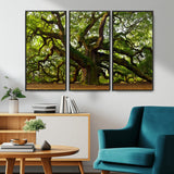 29407-MGV-CV-36X24-Ancient Oak Tree Wall Art – Majestic Nature Canvas Print, Large Tree Photography Decor for Living Room