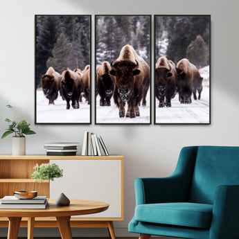 66871-MGV-CV-36X24-Bison Herd Wall Art – Wildlife Buffalo Canvas Print, Rustic Western Nature Photography Decor for Living Room, Office, Cabin, or
