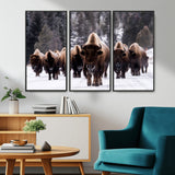 66871-MGV-CV-36X24-Bison Herd Wall Art – Wildlife Buffalo Canvas Print, Rustic Western Nature Photography Decor for Living Room, Office, Cabin, or