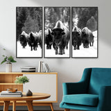62434-MGV-CV-36X24-Bison Herd Wall Art – Majestic Black and White Buffalo Canvas Print, Wildlife Nature Photography Decor for Living Room, Office or