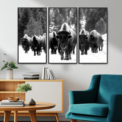 62434-MGV-CV-36X24-Bison Herd Wall Art – Majestic Black and White Buffalo Canvas Print, Wildlife Nature Photography Decor for Living Room, Office or