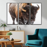 65605-MGV-CV-36X24-Snow Bison Wall Art – Close Up Buffalo Canvas Print, Rustic Western Wildlife Photography, Farmhouse Cabin Lodge Decor for Living