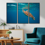 91440-MGV-CV-36X24-Sea Turtle Wall Art – Ocean Turtle Canvas Print, Underwater Marine Life Decor for Living Room, Office, Beach House or Bathroom