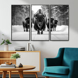 45287-MGV-CV-36X24-Bison Herd Wall Art – Black and White Buffalo Snow Road Canvas Print, Rustic Wildlife Decor for Cabin, Lodge or Living Room