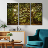 57983-MGV-CV-36X24-Angel Oak Tree Wall Art Canvas Print, Framed Oak Tree Art Picture Print, Angel Oak Perfect Rustic Nature Decor Artwork