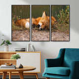 25085-MGV-CV-36X24-Sleeping Fox Wall Art Canvas Print, Framed Rustic Fox Art Picture Print, Wildlife Animal Perfect Rustic Farmhouse Decor Artwork