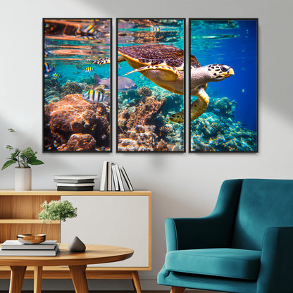 66614-MGV-CV-36X24-Sea Turtle Wall Art – Hawksbill Turtle Swimming Over Coral Reef Canvas Print, Ocean Marine Life Decor for Beach House, Coastal