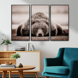 20611-MGV-CV-36X24-Grizzly Bear Wall Art – Majestic Wildlife Sepia Canvas Print, Rustic Nature Animal Artwork for Cabin, Lodge, Living Room, Bedroom,