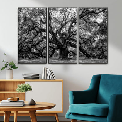 132944706-MGV-CV-36X24-Ancient Tree Wall Art – Black and White Photography Canvas Print Featuring Majestic Twisting Branches, Rustic Nature Artwork for