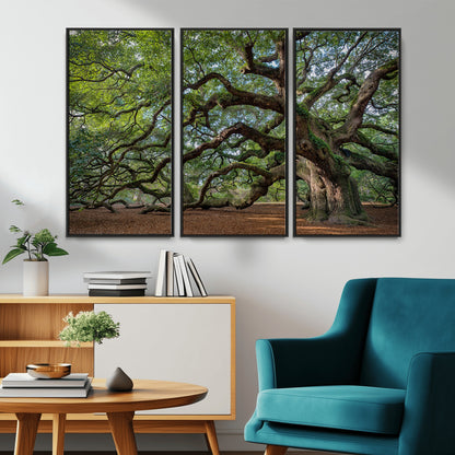 MGV-FC-48X32-3P - Historic Tree Wall Art Canvas Print, Framed Mossy Tree Art Picture Print, Twisted Branches Perfect Nature Southern Decor Artwork