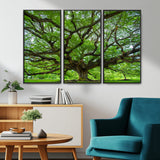 49375306-MGV-CV-36X24-Ancient Tree Wall Art Canvas Print, Framed Sprawling Branches Art Picture Print, Gnarling Tree Perfect Earthy Natural Decor