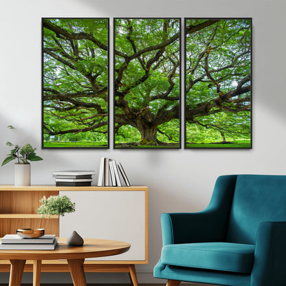 49375306-MGV-CV-36X24-Ancient Tree Wall Art Canvas Print, Framed Sprawling Branches Art Picture Print, Gnarling Tree Perfect Earthy Natural Decor