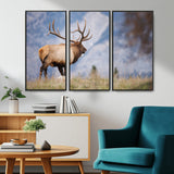 26365841-MGV-CV-36X24-Mountain Elk Art Wall Art Canvas Print, Framed Rustic Wildlife Print Art Picture Print, Lodge Style Decor Perfect Rustic Lodge