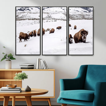 13891210-MGV-CV-36X24-Bison Herd Scene Wall Art Canvas Print, Framed Western Wildlife Decor Art Picture Print, Snowy Mountain Valley Perfect Rustic