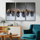 41669135-MGV-FC-48X32-3P_Black-Bison Herd Scene Wall Art Canvas Print, Framed Rustic Wildlife Decor Art Picture Print, Snowy Bison Landscape Perfect Rustic