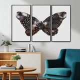99831147-MGV-CV-36X24-Spotted Butterfly Wall Art Canvas Print, Framed Neutral Insect Theme Art Picture Print, Earthy Wing Pattern Perfect Modern Rustic