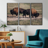 58141885-MGV-CV-36X24-Bison Photography Wall Art Canvas Print, Framed Western Wildlife Art Picture Print, Modern Ranch Perfect Western Rustic Decor