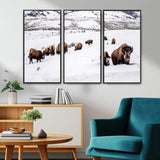 38217250-MGV-CV-36X24-Bison Herd Wall Art – Wildlife Canvas Print of Buffalo Winter Snow Scene, Rustic Western Lodge Décor, Farmhouse & Cabin Nature