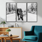 38956835-MGV-CV-36X24-Moose Winter Snowy Forest Canvas Wall Art – Wildlife Nature, Antlers in Frozen Landscape, Quiet Path, Cold Season Outdoors Print