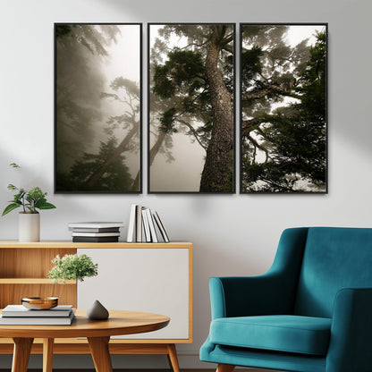 87969493-MGV-CV-36X24-Forest Wall Art – Misty Tall Trees Canvas Print, Dramatic Woodland Photography Decor for Bedroom, Living Room, Office, Cabin,