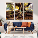 53335-MGV-CV-36X24-Majestic Tree with Sprawling Roots Wall Art – Serene Sunlit Park Scene, Nature Canvas Print, Perfect for Living Room, Office or