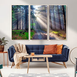 42047-MGV-CV-36X24-Sunlit Forest Path Wall Art – Nature Canvas Print, Serene Woodland Landscape, Perfect Home & Office Decor for Calm and Tranquil