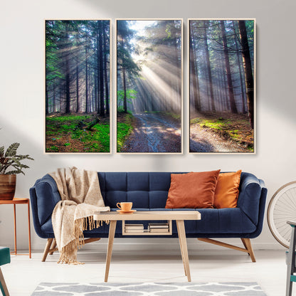 42047-MGV-CV-36X24-Sunlit Forest Path Wall Art – Nature Canvas Print, Serene Woodland Landscape, Perfect Home & Office Decor for Calm and Tranquil