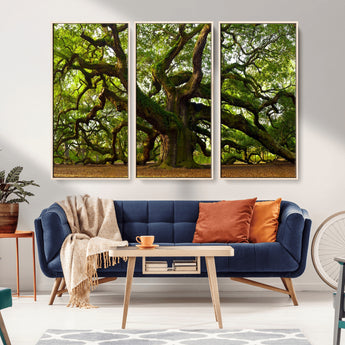 29407-MGV-FC-48X32-3P_Natural-Ancient Oak Tree Wall Art – Majestic Nature Canvas Print, Large Tree Photography Decor for Living Room
