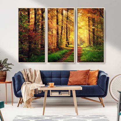 73494-MGV-CV-36X24-Golden Autumn Forest Path Wall Art – Sunlit Woodland Canvas Print, Fall Nature Landscape Home Decor