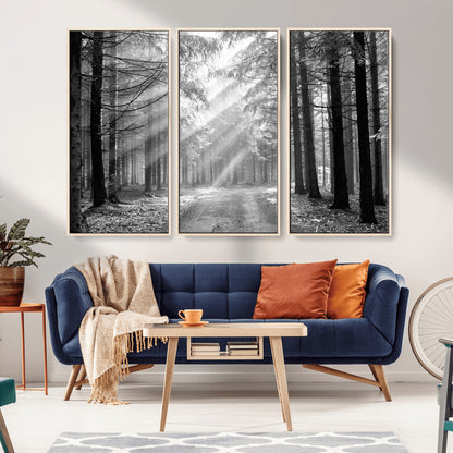 39665-MGV-FC-48X32-3P_Natural-Black and White Forest Path Wall Art – Sunlight Rays in Trees Canvas Print, Nature Landscape Decor for Living Room